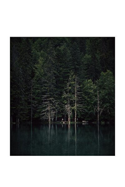 OEM Tablou Canvas, 'Refugiu tacut pe malul lacului', Natura, Reflectie, Padur...