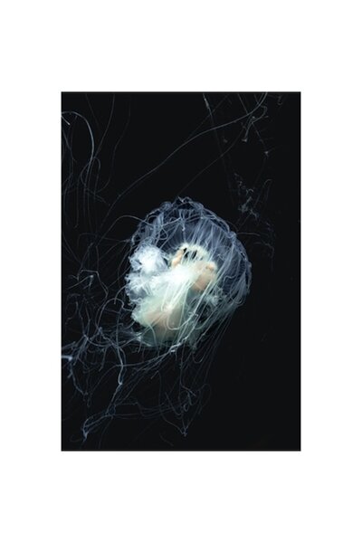 OEM Pictură pe pânză, „Dansul eteric al meduzelor albastre”