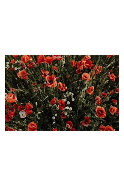 OEM Pictură pe pânză, „Câmp de maci înflorit vibrant”, Roșu, Flori, Peisaj, 90 x 50 cm
