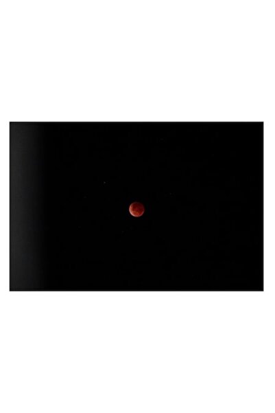 OEM Pictură pe pânză „Lună roșie pe cerul nopții”, 70 x 50 cm