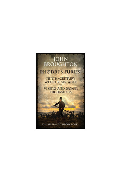 Next Chapter Rhodri's Furies: Ninth-century Welsh Resistance to Viking and Sa...