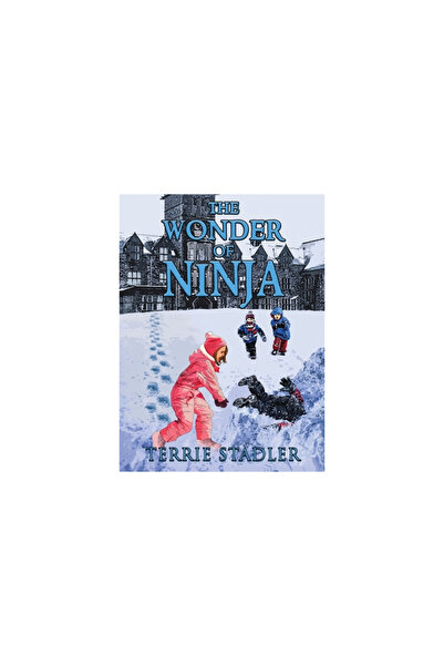 Proisle Pub Serv The Wonder of Ninja