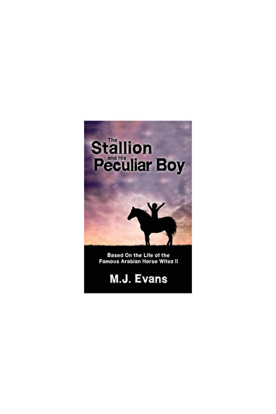 Dementi Milestone Pub The Stallion and His Peculiar Boy