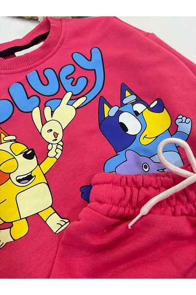 chibuumbabykids Girl's Bluey Printed Tracksuit Set