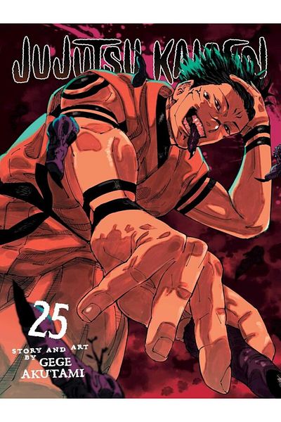 Viz Media Jujutsu Kaisen 25