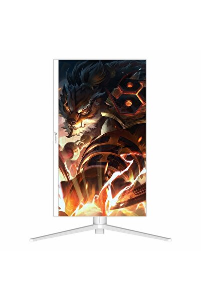 GAMEBOOSTER GB-2718FFW 27" 165Hz 0.5Ms HDMI+DP HDR FullHD G-Sync FreeSync IPS Pivot Vesa Monitör