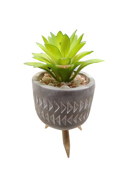 Koopman Artificial Mini Succulent Plant, Azay Design, H 16cm, in cement pot with wooden legs