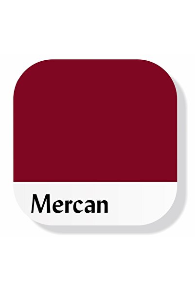 Piktura Akrilik Multisurface Boya 500ml Mercan Kırmızı