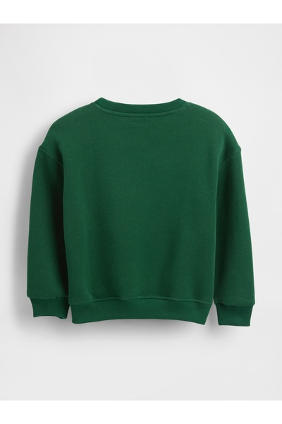 GAP Erkek Bebek Yeşil VintageSoft Varsity Logo Sweatshirt