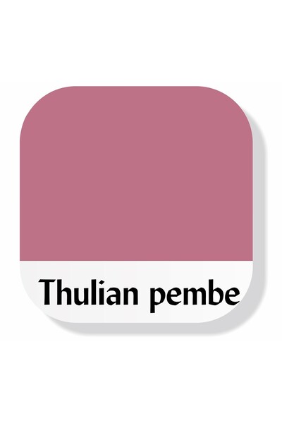 Piktura Akrilik Multisurface Boya 500ml Thulian Pembe