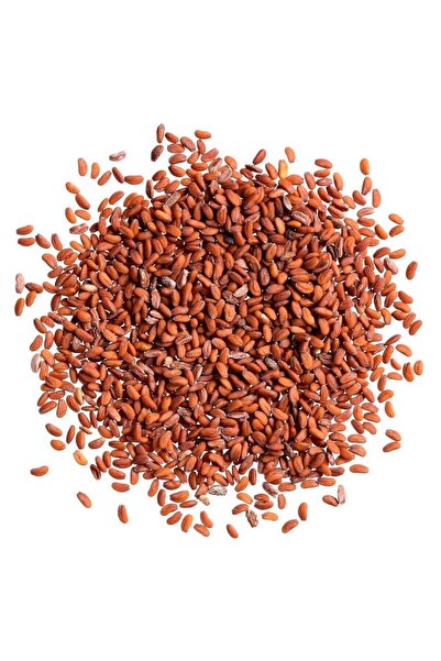 Aydınlı Tohumculuk Yerli Tere Tohumu, Geniş Yapraklı, 1 Gram, 600 Adet