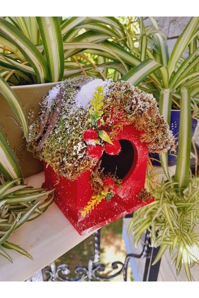 Minnoş Dükkan Bird House Wooden Bird Nest Garden Balcony Decoration