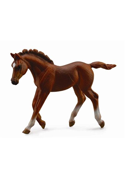 Collecta (Jucărie) Collecta Pure Thai Standing Chestnut Colour Collecta (Jucă...