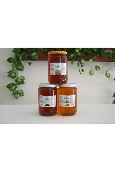 KAZDAĞLARI ORGANİK LEZZETLER 1 KG Çiçek, 1 KG Çam, 1 KG Ihlamur Balı Paketi! Toplam 3 KG (1 X 3)