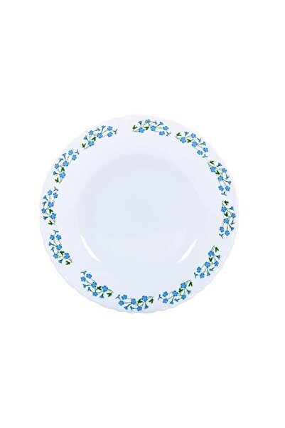 Generic طبق عشاء أوبالوير من ديلكاسا DC1458، مقاس 10.5 بوصة