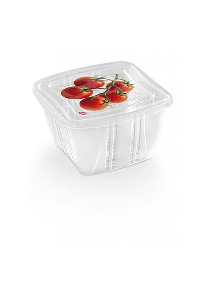 Generic Snips Food Classic Fresh Container 1 Liter Square, Multi Color One Size, Plastic Material