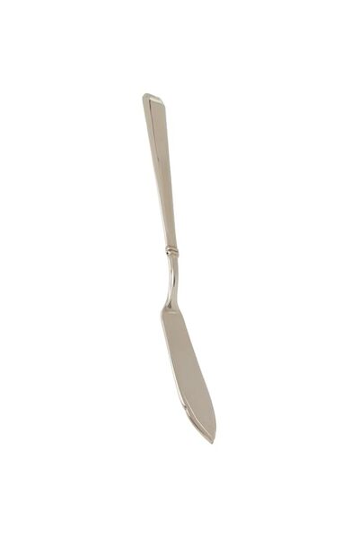 Generic Winsor 18/10 Stainless Steel Fish Knife Pilla, Silver