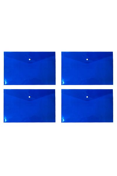 FLY COLOR Transparent Blue Color Snap File Set 4 Pieces