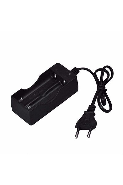 VTM LI-ion Battery Charger 2 x 3.7V