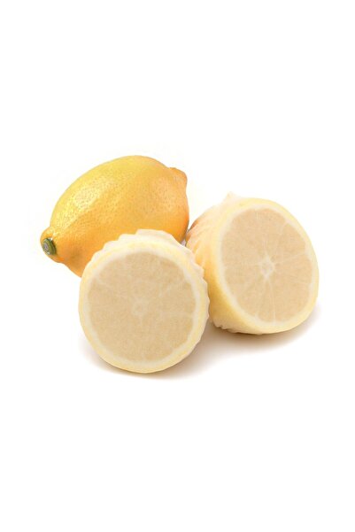 AMBALAJ PAZARI Limon Bonesi - 24 Adet