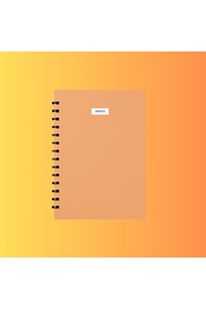 edinotes 4-Piece A4 School Notebook - 2 Checkered and 2 Lined