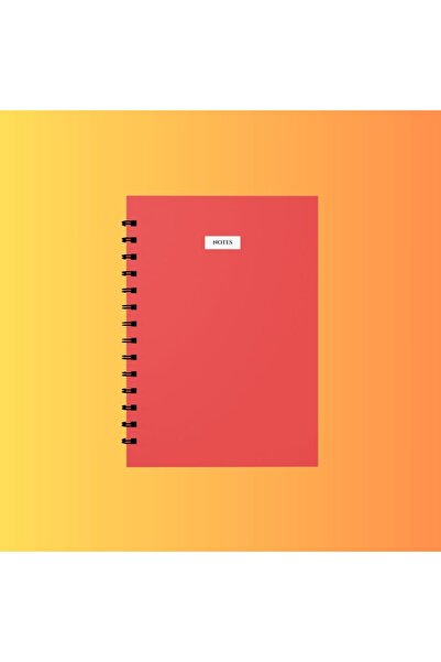 edinotes 4-Piece A4 School Notebook - 2 Checkered and 2 Lined