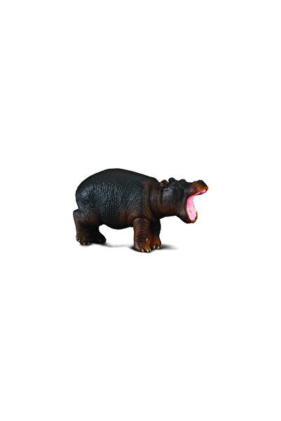 Quebec Collecta Baby Hippopotamus (Single)