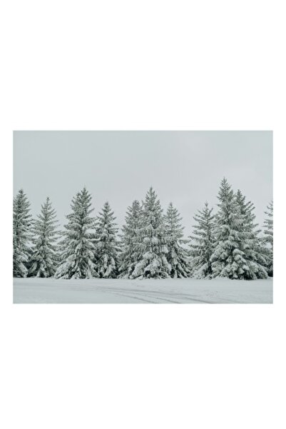 OEM Tablou Canvas, 'Iarna in padurea de brazi ninsi', Brazi, Zapada, Iarna, C...