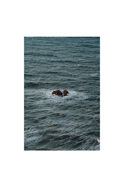 OEM Pictură pe pânză „Stânci singuratice în marea agitată”, Valuri, Stâncă, A...