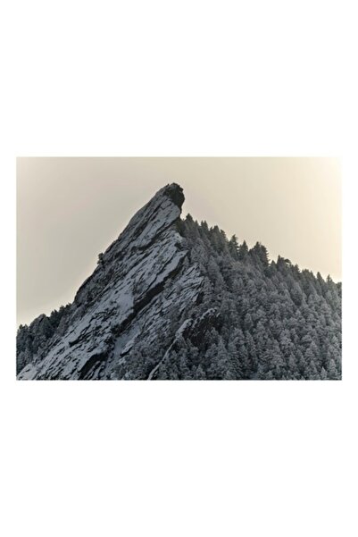 OEM Pictură pe pânză, „Piatră înghețată sub cer înnorat”, Stâncă, Zăpadă, Păd...