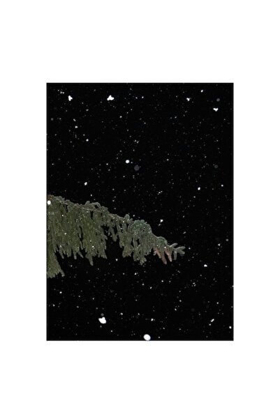 OEM Pictură pe pânză, „Zăpadă de iarnă sub stele”, Brad, Noapte, Fulgi de zăp...