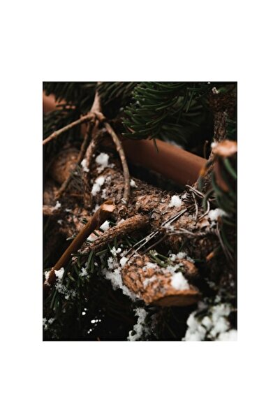 OEM Pictură pe pânză, „Cramuri de pin acoperite de zăpadă”, Iarnă, Natură