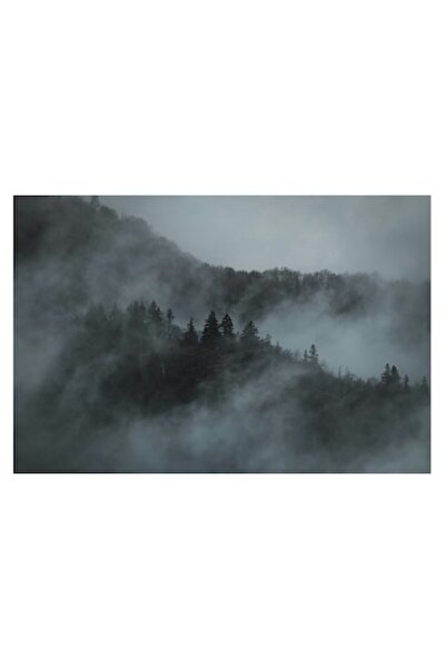 OEM Pictură pe pânză, „Pădure misterioasă în ceață albăstruie”, Seninătate, N...