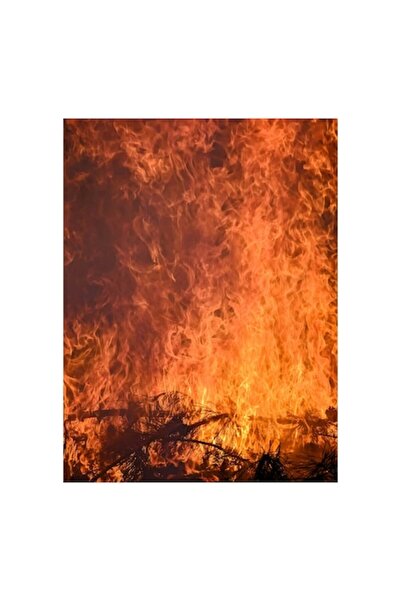 OEM Pictură pe pânză, „Foc în dansul etern al flăcărilor”