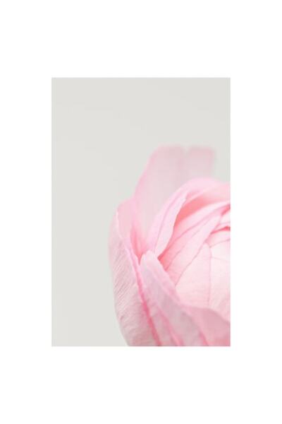 OEM Tablou Canvas, 'Petale delicate de primavara roz'