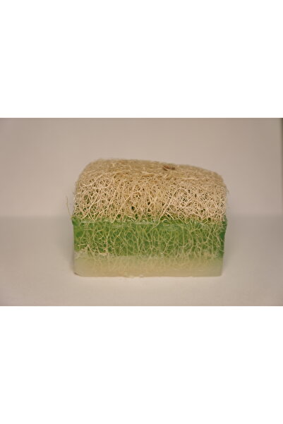 royalmoni صابون الألوة فيرا بحليب الحمير 160 جرام