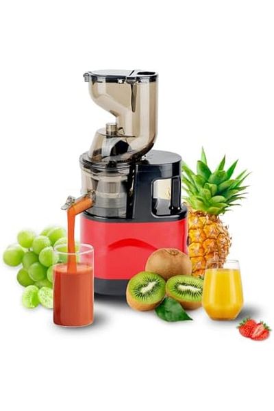 Türkiye 500W Slow Juicer Machine, High Yield Cold Press Juicer Blender for Fruits and Vegetables, Efficient