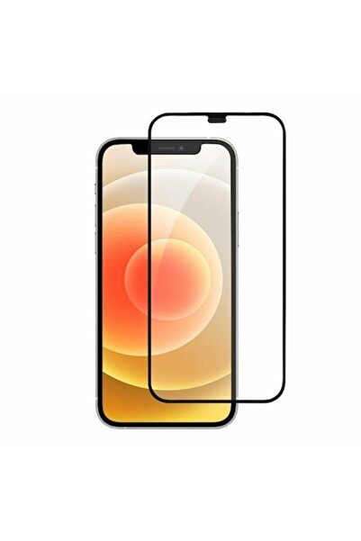 OEM Folie de protectie Ecran OG Premium pentru Apple iPhone 11 / XR, Sticla S...