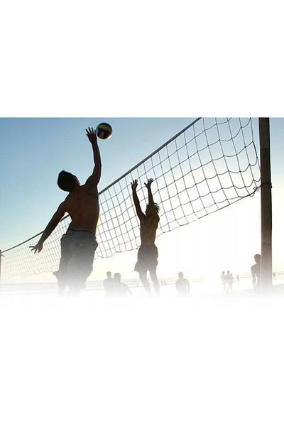 varioshop VarioShop® net for volleyball, badminton and tennis, Strong net, Durable frame, Carrying bag