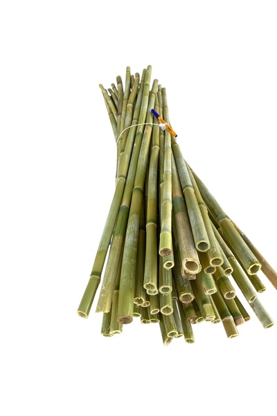 EGE GARDEN 10 Adet 100 cm Bambu Bitki Destek Çubuğu – Doğal – Kalın ve Dayanıklı
