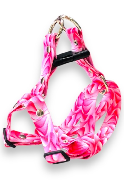 Angelapets Köpek Tasması ( Göğüs Tasması ) Gezdirme Kayışı Set