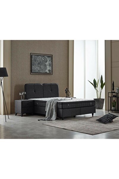 Tutku Yatak Bodrum Omurga Destek Süngerli 4 Mevsim Yatak Baza Başlık Seti (KO...