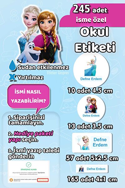 Sticker Ekspres Okul Etiketi Elsa Frozen Temalı Kalem Defter Etiketi Özel İsi...