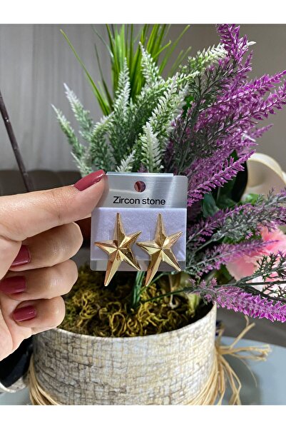 ŞİMŞEK KIRTASİYE BİJUTERİ Steel Earring Star Stainless Steel Women's Earring