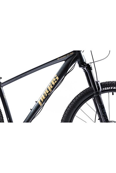 Pegas Drumet Pro M 29'' Γκρι