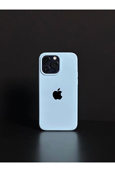 Hasdem Case iPhone 11 Pro Uyumlu Logo Baskılı İçi Kadife Kenarları Oval Kılıf