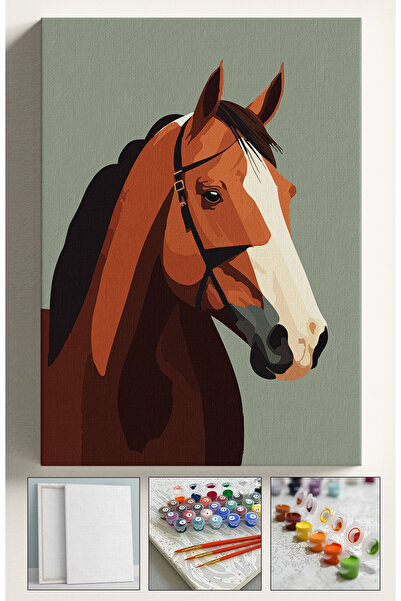 Corvo Sayılarla Boyama Seti Numaralı Tuval Fırça Boya AT 40x50 Cm