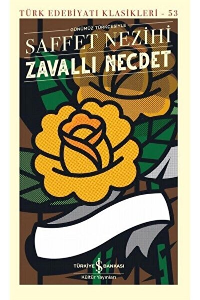 TÜRKİYE İŞ BANKASI KÜLTÜR YAYINLARI Zavallı Necdet