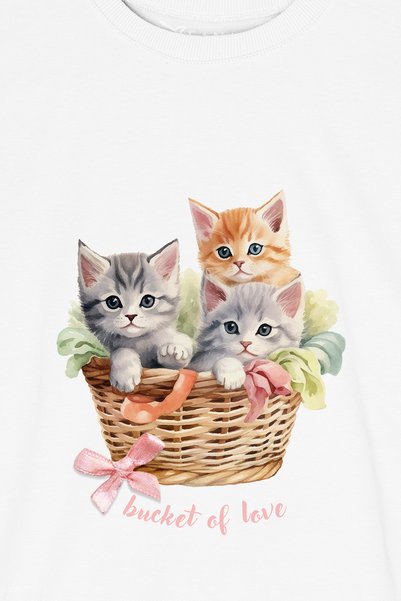 FANA Women's Semi Crop Oversize T-Shirt - Cute Cats in Basket Printed T-Shirt