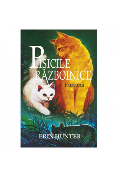 All Pisicile Războinici, Cartea IV: Furtuna, Erin Hunter